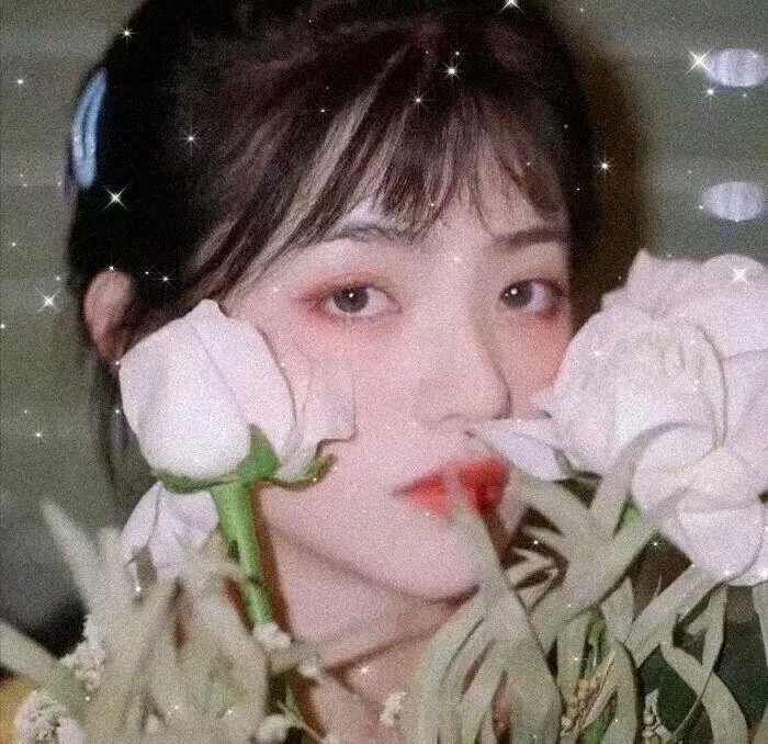 美丽的凯特