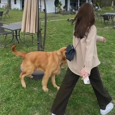 火线密杀令